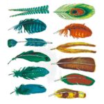 Decalque Penas 50mm - Cartela com 22