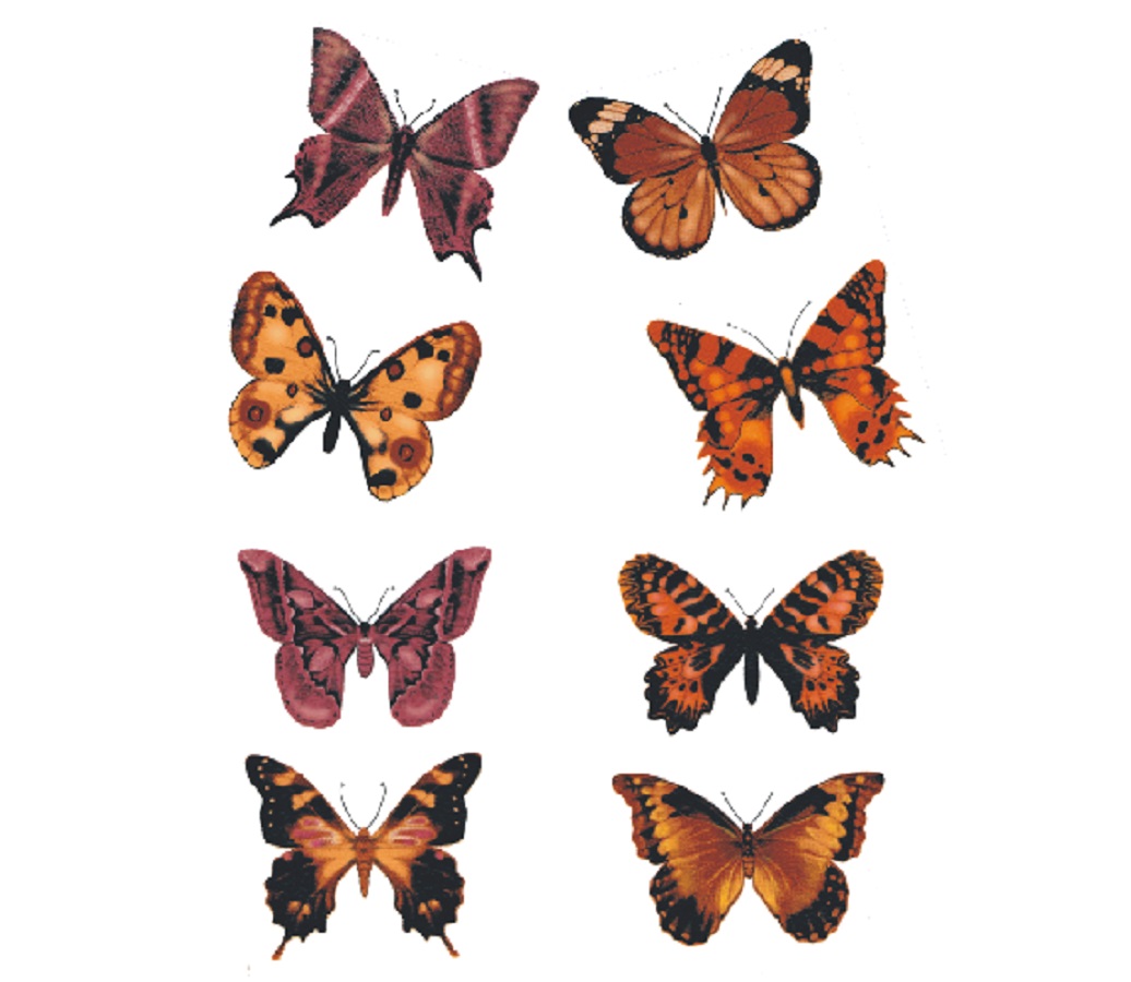aa07c6e7468fc06c988bd86dceaee383.jpg Decalque Borboletas de Outono 35mm - Cartela com 7 - Imagem 1