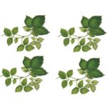 Decalque Folhagens Verdes 110mm c/9