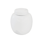 Pote com Tampa Aveline