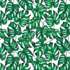 Costela de Adão Modelo D