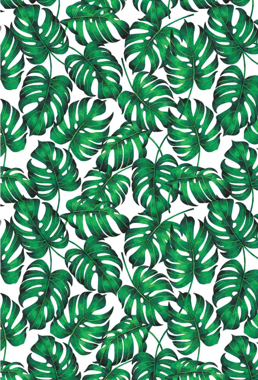 1cace892ae00859414e58d47dddb7f40.jpeg Costela de Adão Modelo D - Imagem 1