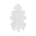 Folha Maple - Imagem 2