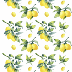 Limões Sicilianos Modelo D