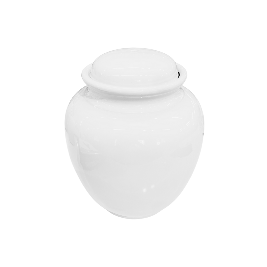 c7e2987bd7751625624b59bd08e6aaa6.png Vaso Celia - Imagem 1