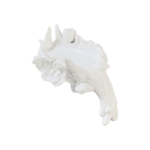 Item Decorativo Forest