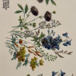 Decalque Deleite (Modelo 4) 90mm c/3