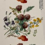 Decalque Deleite (Modelo 3) 90mm c/3