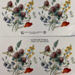 Decalque Deleite (Modelo 3) 75mm c/4