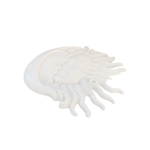 Lua e Sol - Imagem 2