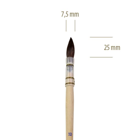 2d49e024ca515158f6e28bb82cec5bd1.jpg 1301Nº 12 - Pincel Feustel Pontiagudo de Pelo Curto - Imagem 1